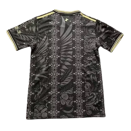 Maillot Argentine Concept 2026/2027